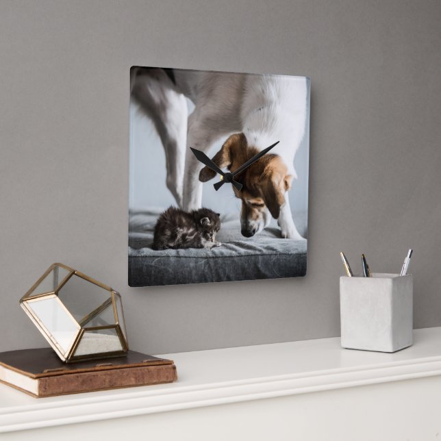 Cutest Baby Animals | Baby Kitten & Dog Square Wall Clock (Office)