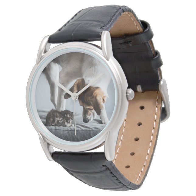 Cutest Baby Animals | Baby Kitten & Dog Watch (Angled)
