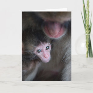 Cutest Baby Animals Baby Macaque Monkey & Mother Card