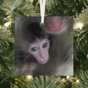 Cutest Baby Animals Baby Macaque Monkey & Mother Glass Ornament
