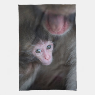 Cutest Baby Animals   Baby Macaque Monkey & Mother Kitchen Towel