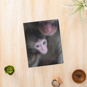 Cutest Baby Animals Baby Macaque Monkey & Mother Mini Binder
