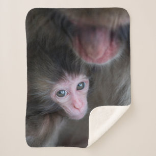 Cutest Baby Animals   Baby Macaque Monkey & Mother Sherpa Blanket