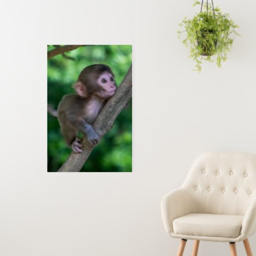 Cutest Baby Animals  Baby Monkey Foam Board