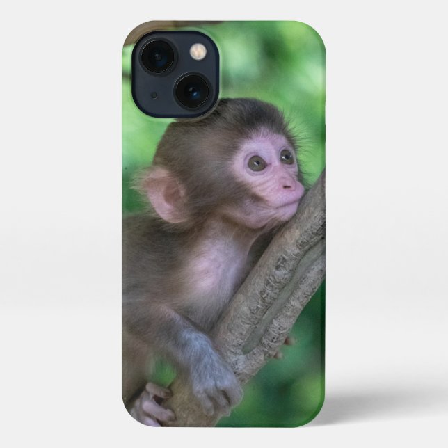 Cutest Baby Animals | Baby Monkey iPhone Case (Back)
