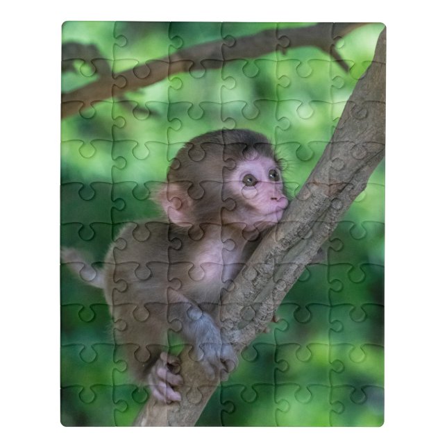 Cutest Baby Animals | Baby Monkey Jigsaw Puzzle (Puzzle Vertical)