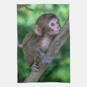 Cutest Baby Animals   Baby Monkey Kitchen Towel
