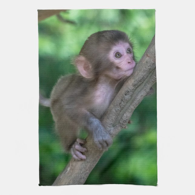 Cutest Baby Animals | Baby Monkey Kitchen Towel (Vertical)