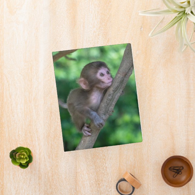 Cutest Baby Animals | Baby Monkey Mini Binder (InSitu)