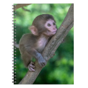 Cutest Baby Animals   Baby Monkey Notebook