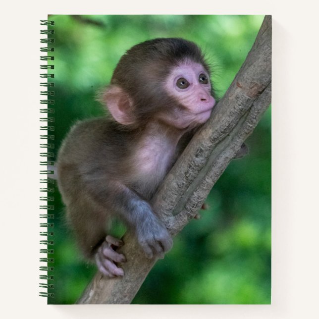 Cutest Baby Animals | Baby Monkey Notebook (Front)
