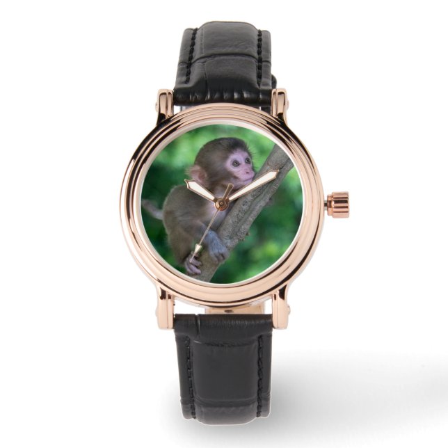 Cutest Baby Animals | Baby Monkey Watch (Front)