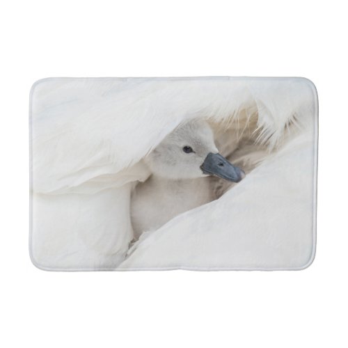 Cutest Baby Animals  Baby Mute Swan Bath Mat