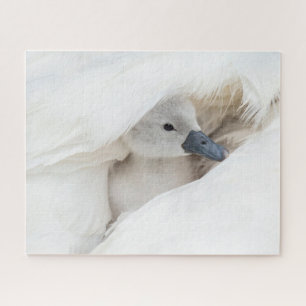 Cutest Baby Animals Baby Mute Swan Jigsaw Puzzle