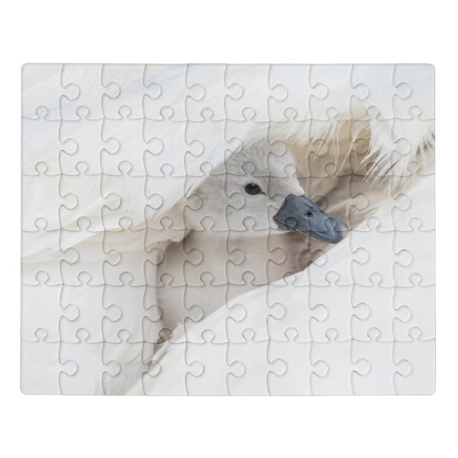 Cutest Baby Animals | Baby Mute Swan Jigsaw Puzzle (Puzzle Horizontal)