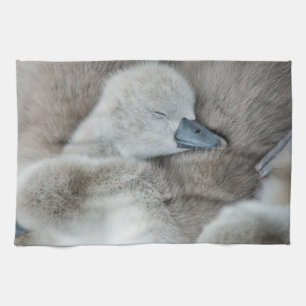 Cutest Baby Animals   Baby Mute Swan Kitchen Towel