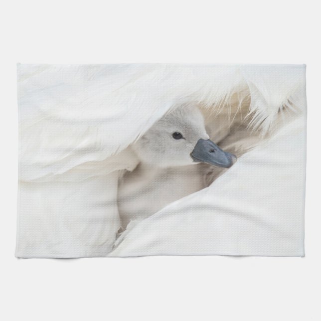 Cutest Baby Animals | Baby Mute Swan Kitchen Towel (Horizontal)