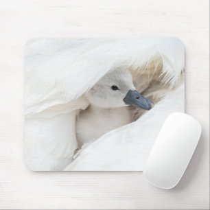 Cutest Baby Animals   Baby Mute Swan Mouse Pad