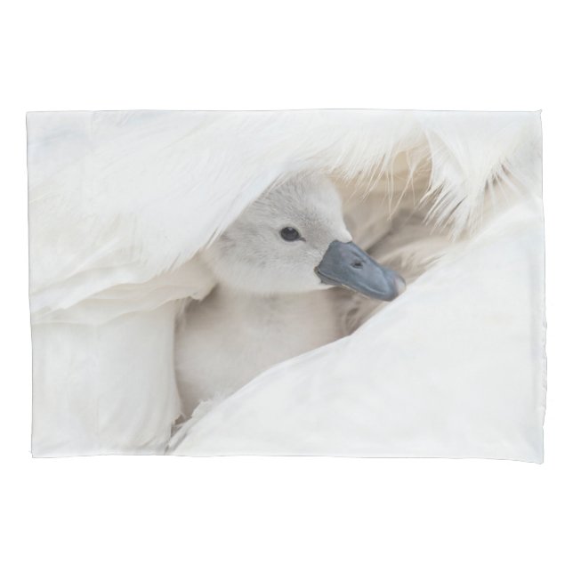 Cutest Baby Animals | Baby Mute Swan Pillow Case (Front)