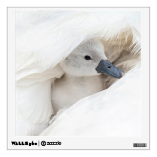 Cutest Baby Animals Baby Mute Swan Wall Decal