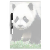 the lazy panda card company 32 cartes de vœux vierges avec photo de fleurs différentes