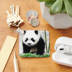 Cutest Baby Animals   Baby Panda Bear Keychain