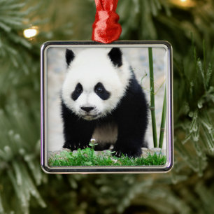 Cutest Baby Animals Baby Panda Bear Metal Ornament