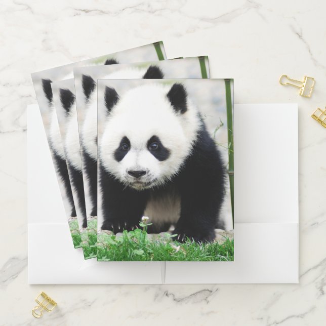 Cutest Baby Animals | Baby Panda Bear Pocket Folder (In Situ)