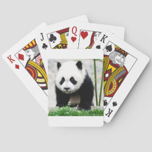 Cutest Baby Animals   Baby Panda Bear Poker Cards