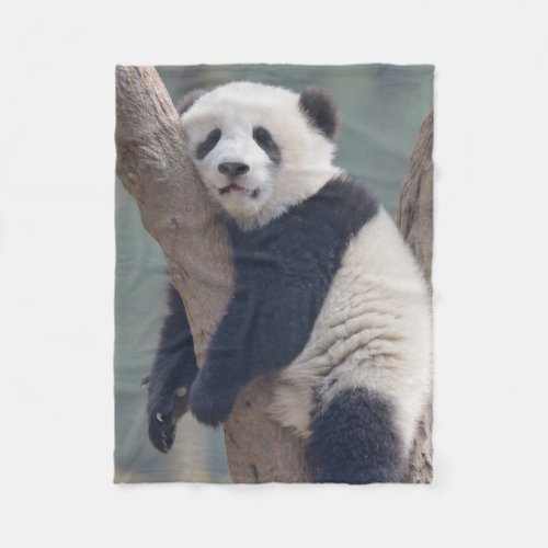 Cutest Baby Animals  Baby Panda Bear Sleeping Fleece Blanket