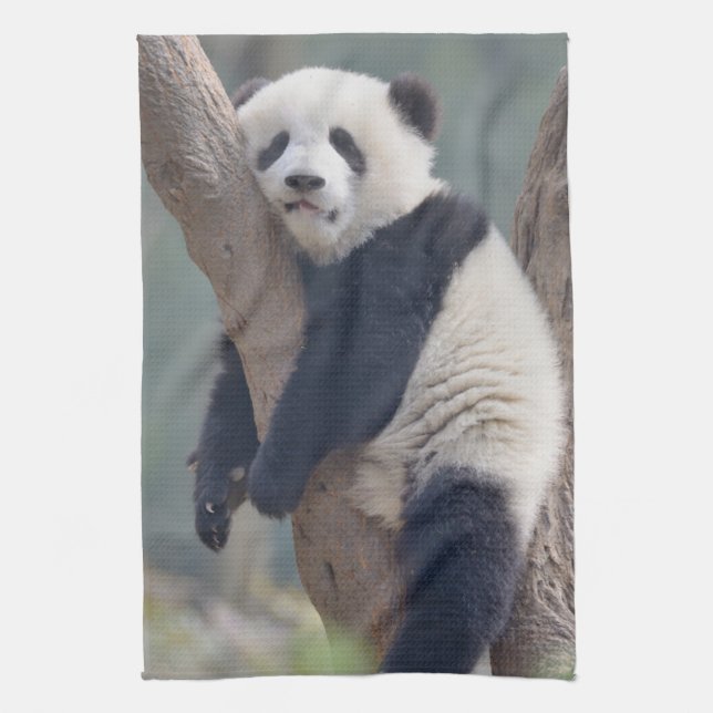 Cutest Baby Animals | Baby Panda Bear Sleeping Kitchen Towel (Vertical)