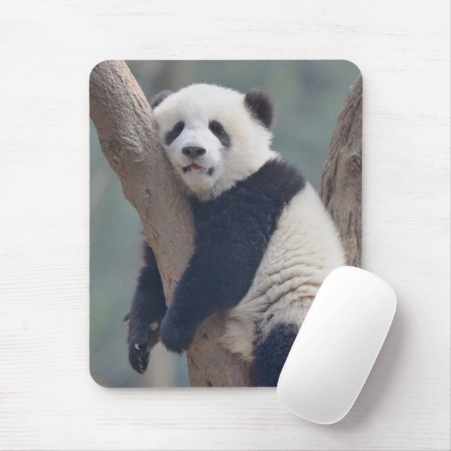 Cutest Baby Animals | Baby Panda Bear Sleeping Mouse Pad (With Mouse)