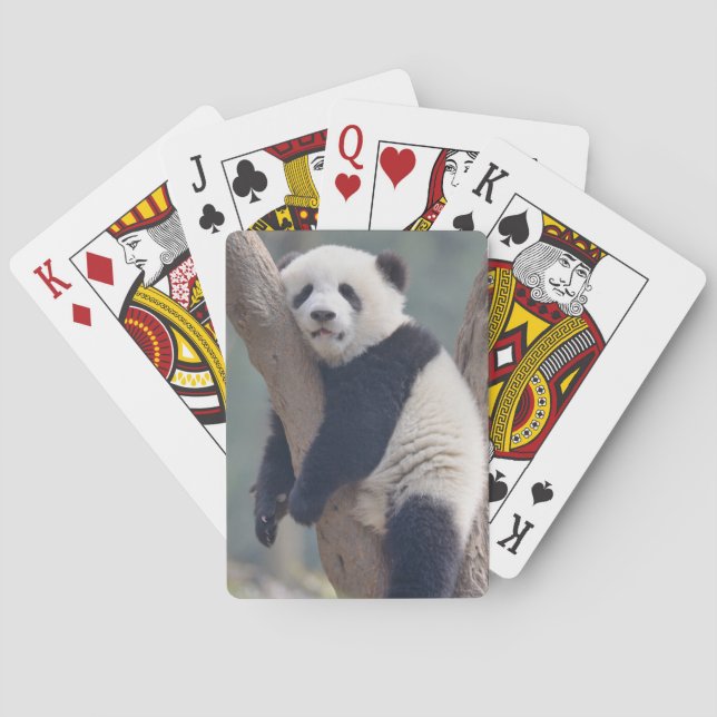 Cutest Baby Animals | Baby Panda Bear Sleeping Poker Cards (Back)