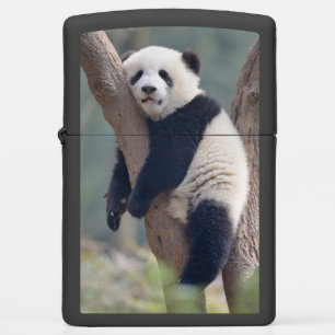 Cutest Baby Animals Baby Panda Bear Sleeping Zippo Lighter