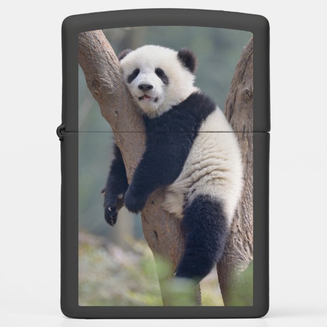 Cutest Baby Animals | Baby Panda Bear Sleeping Zippo Lighter (Front)