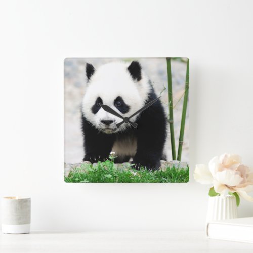 Cutest Baby Animals  Baby Panda Bear Square Wall Clock