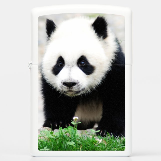 Cutest Baby Animals | Baby Panda Bear Zippo Lighter (Front)