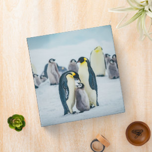 Cutest Baby Animals   Baby Penguin Feeding 3 Ring Binder