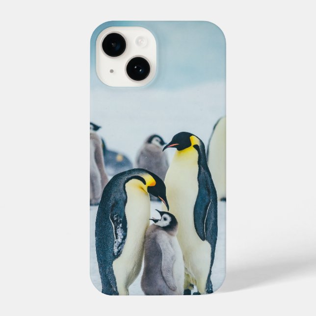 Cutest Baby Animals | Baby Penguin Feeding iPhone Case (Back)