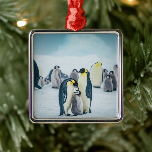 Cutest Baby Animals | Baby Penguin Feeding Metal Ornament (Tree)