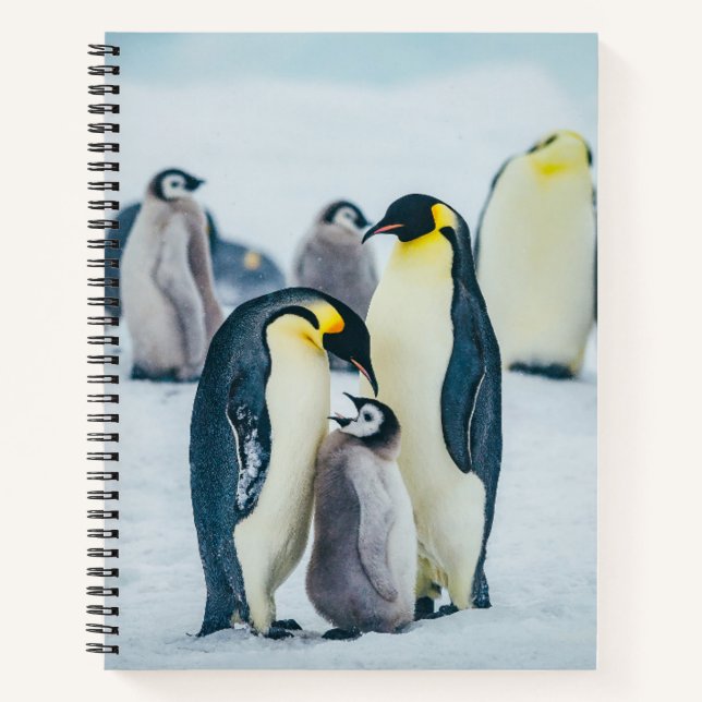 Cutest Baby Animals | Baby Penguin Feeding Notebook (Front)