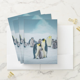 Cutest Baby Animals Baby Penguin Feeding Pocket Folder