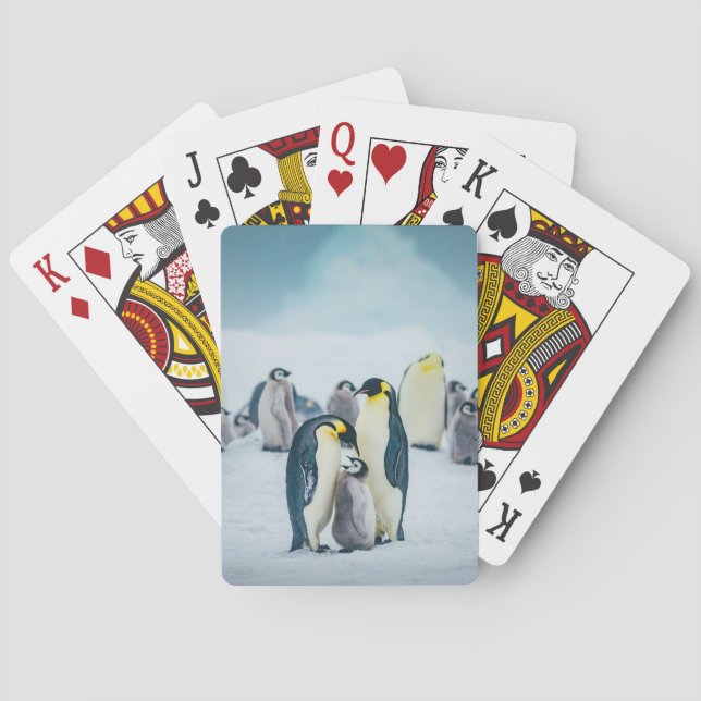 Cutest Baby Animals | Baby Penguin Feeding Poker Cards (Back)