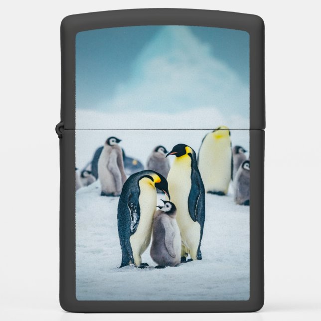 Cutest Baby Animals | Baby Penguin Feeding Zippo Lighter (Front)