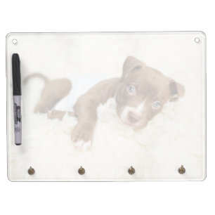 Cutest Baby Animals   Baby Pit Bull Puppy Dry Erase Board With Keychain Holder