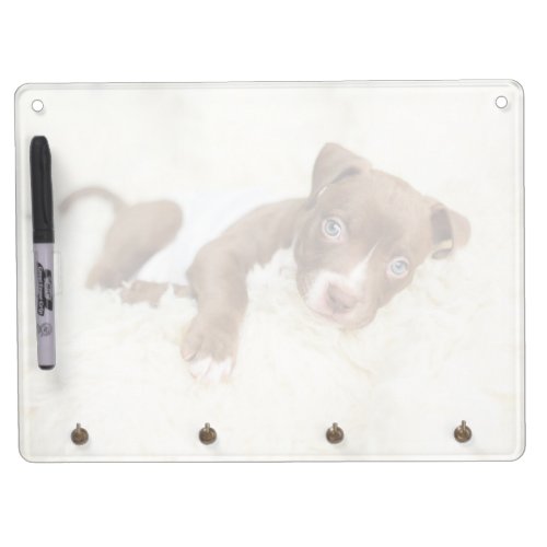 Cutest Baby Animals  Baby Pit Bull Puppy Dry Erase Board With Keychain Holder