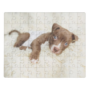 Cutest Baby Animals   Baby Pit Bull Puppy Jigsaw Puzzle