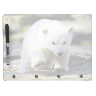 Cutest Baby Animals   Baby Polar Bear Cub Dry Erase Board With Keychain Holder