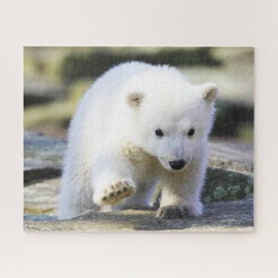 Cutest Baby Animals Baby Polar Bear Cub Jigsaw Puzzle