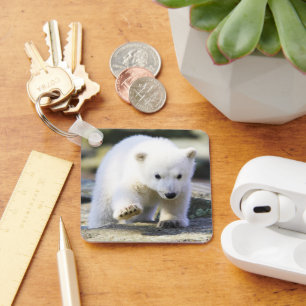 Cutest Baby Animals Baby Polar Bear Cub Keychain